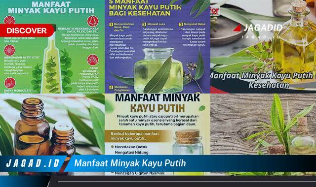 10 Manfaat Minyak Kayu Putih yang Tidak Semua Orang Tau