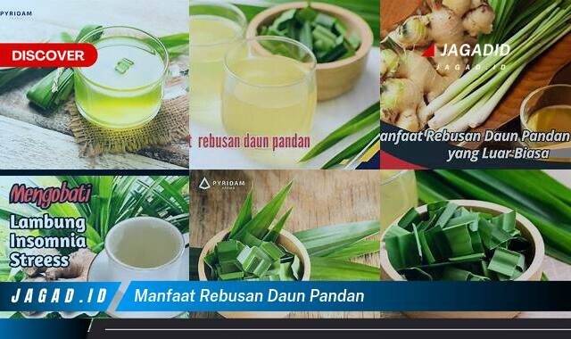 Ketahui 8 Manfaat Rebusan Daun Pandan yang Tak Banyak Orang Tahu