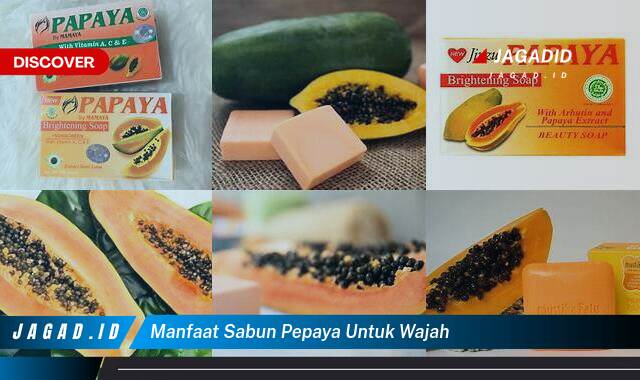 Ketahui 9 Manfaat Sabun Pepaya Untuk Wajah yang Tak Banyak Orang Tau