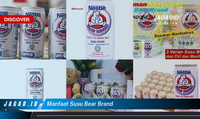 Inilah 8 Manfaat Susu Bear Brand yang Wajib Kamu Ketahui