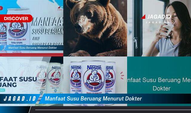 Inilah 8 Manfaat Susu Beruang Menurut Dokter yang Wajib Kamu Intip