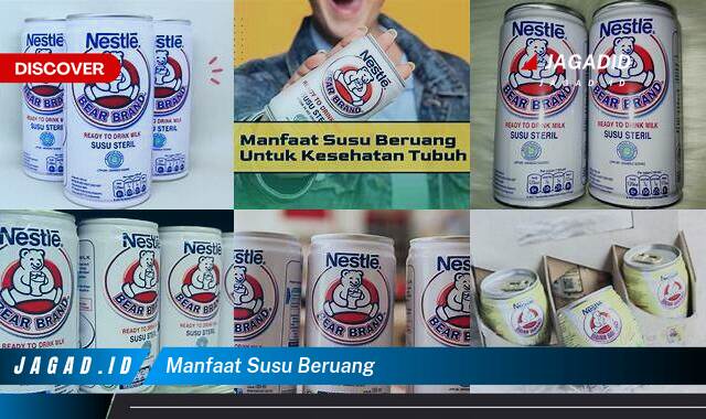 9 Manfaat Susu Beruang yang Wajib Kamu Ketahui