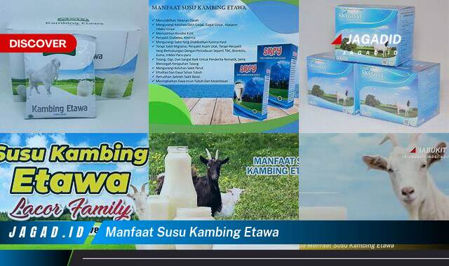 Ketahui 9 Manfaat Susu Kambing Etawa yang Tidak Semua Orang Tau