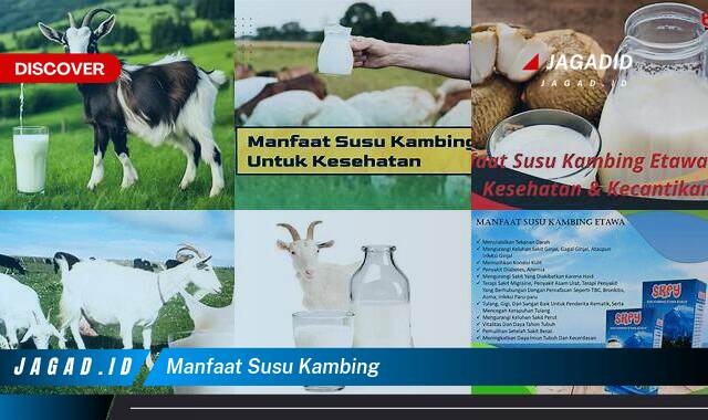 10 Manfaat Susu Kambing yang Wajib Kamu Ketahui