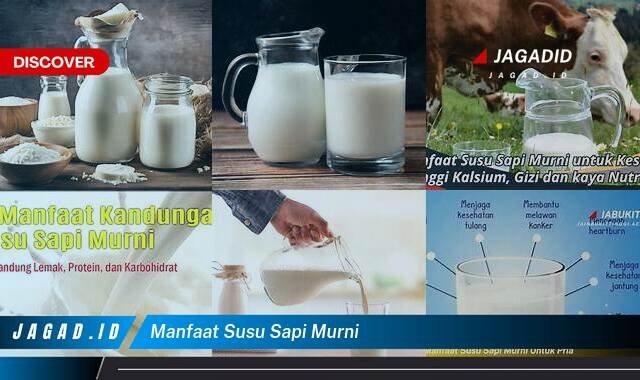 10 Manfaat Susu Sapi Murni yang Wajib Kamu Intip