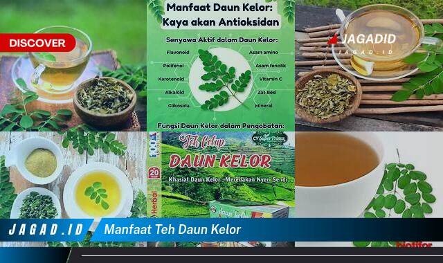 Ketahui 8 Manfaat Teh Daun Kelor yang Tak Banyak Orang Tahu