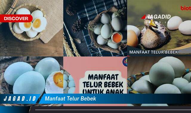 Inilah 8 Manfaat Telur Bebek yang Bikin Kamu Penasaran