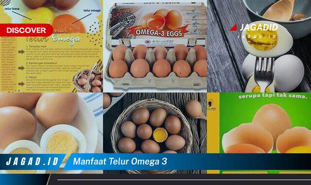 Inilah 9 Manfaat Telur Omega 3 yang Bikin Kamu Penasaran