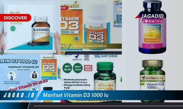 Inilah 9 Manfaat Vitamin D3 1000 IU yang Wajib Kamu Intip