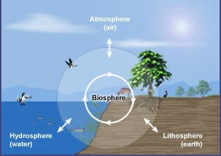 Komponen Biosfer