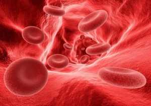 Pembentukan sel darah merah