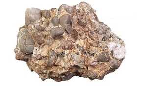 Batuan Sedimen Proses Pembentukan Struktur dan  Jenisnya  