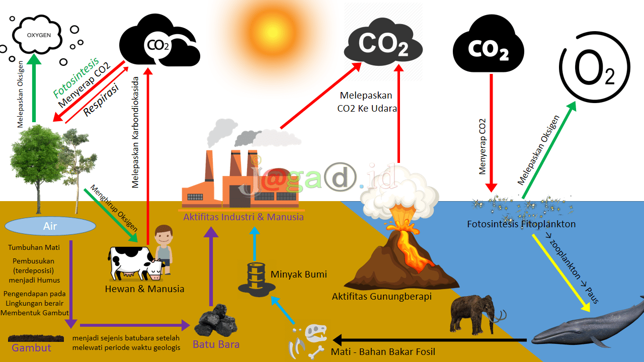 Udara Air Dan Oksigen Merupakan Contoh Dari