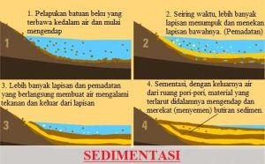 Batuan Sedimen Pengertian Pembentukan Dan Macam Contoh Jagad Id