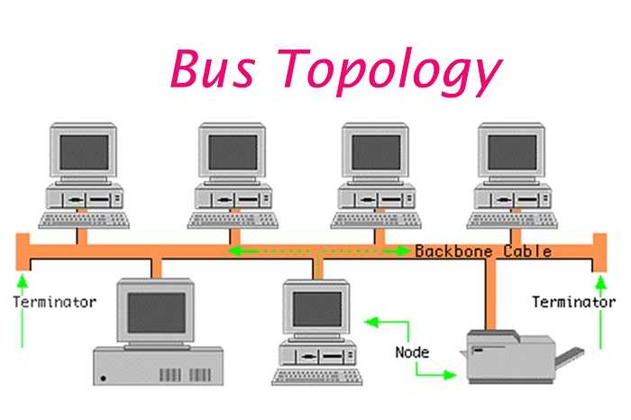 Topologi Bus - Jaringan Komputer
