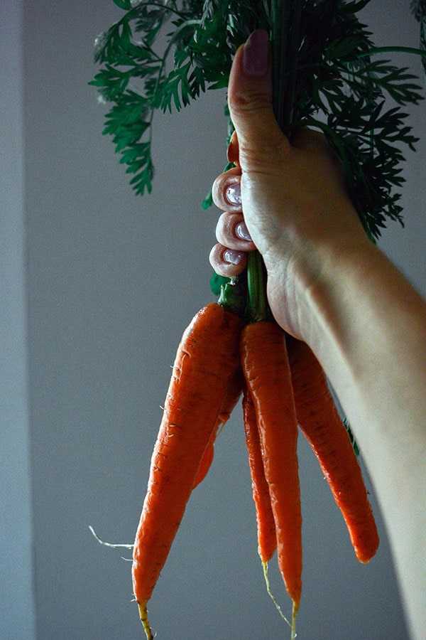 Gambar 6-Cara menyimpan wortel
