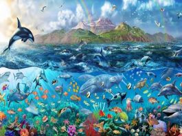 Ekosistem Laut Adalah Pengertian, Ciri-ciri, Jenis, dan Bagian