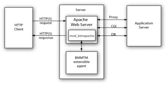 Pengertian Apache Adalah Definisi Web Server, Wordpress, Arsitektur, Cara Kerja, Kelebihan, Kekurangan Vs Nginx