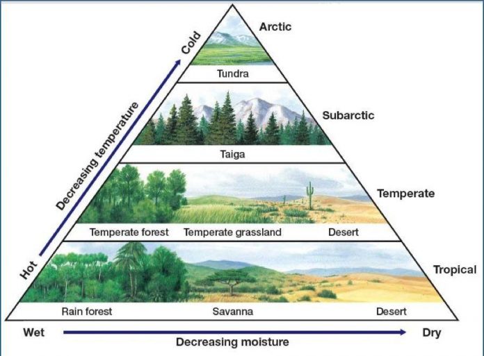 bioma-adalah-pengertian-fungsi-ciri-ciri-faktor-macam-jenis-dan-contoh-jagad-id