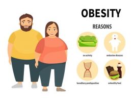Pengertian Obesitas Adalah Penyakit Definisi Gambar Contoh Gejala, Penyebab dan Cara Mencegah serta Mengatasi