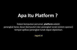 Pengertian Platform Adalah Definisi Fungsi, Macam Jenis dan Contoh