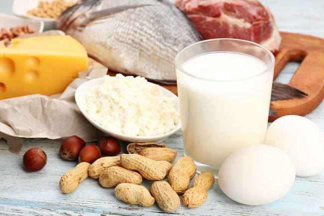 Makanan Yang Mengadung Protein Tinggi