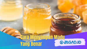 Cara Menyimpan Madu Yang Benar