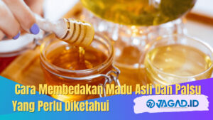 Cara Membedakan Madu Asli Dan Palsu