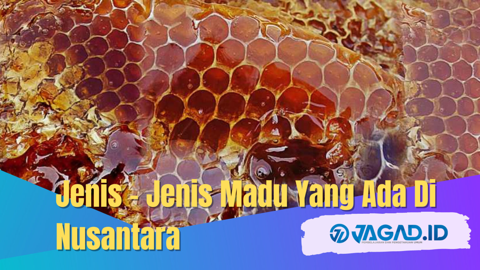 Jenis Jenis Madu Yang Ada Di Nusantara Jagad Id