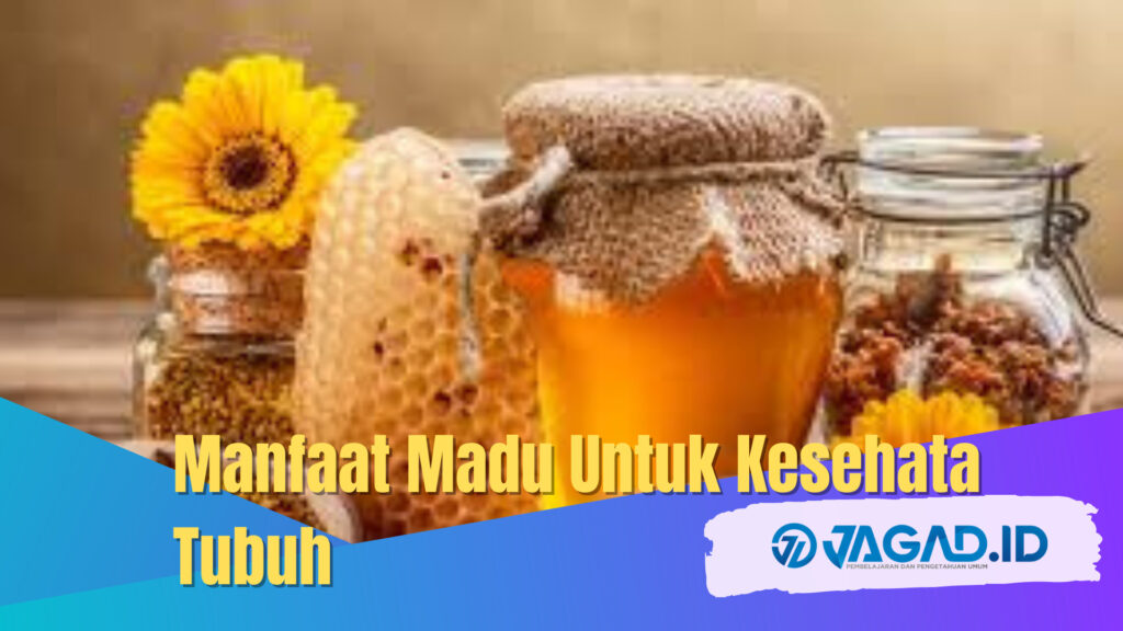 Manfaat Madu Untuk Kesehata Tubuh - JAGAD ID