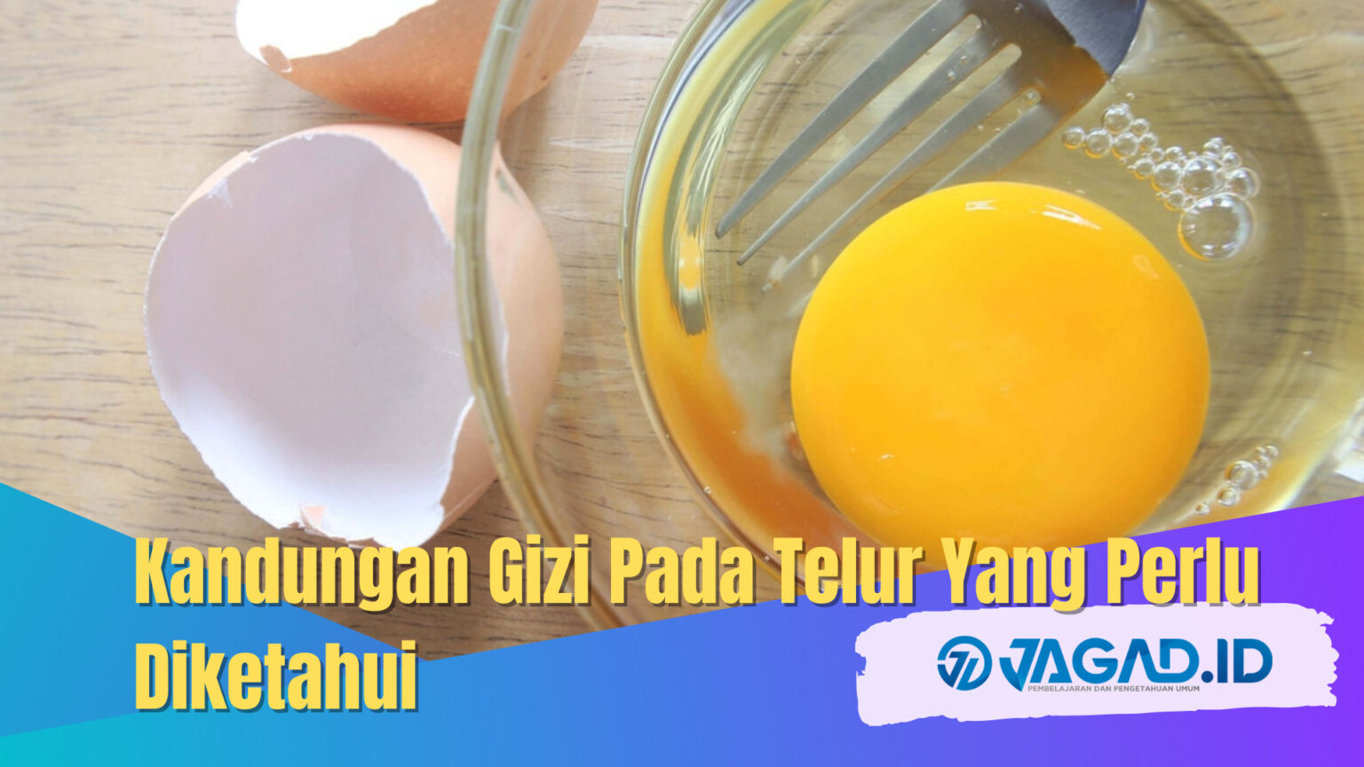 Kandungan Gizi Pada Telur Yang Perlu Diketahui Jagad Id