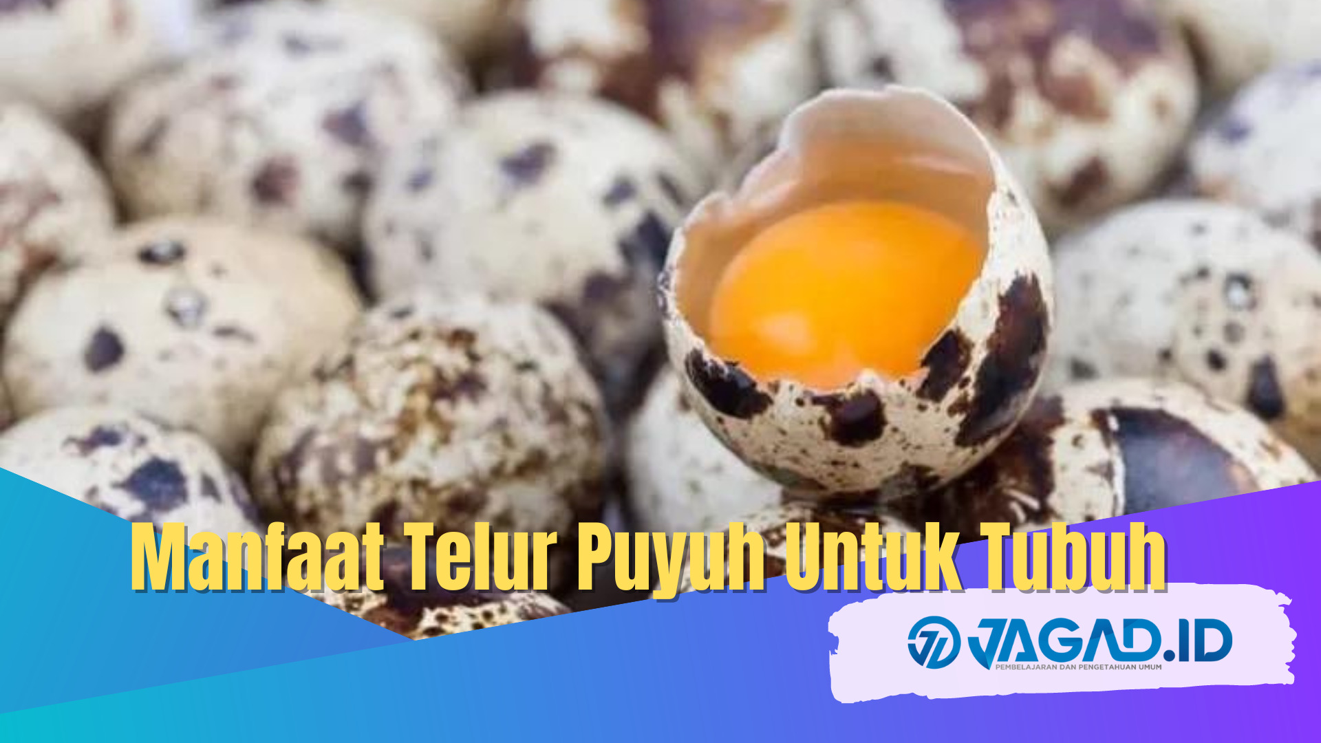 Manfaat Telur Puyuh