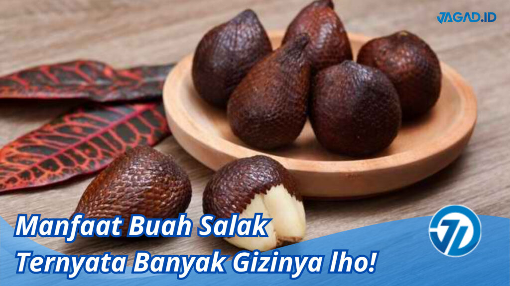 Manfaat Buah Salak : Belum Banyak Yang Tahu Lho! - JAGAD ID