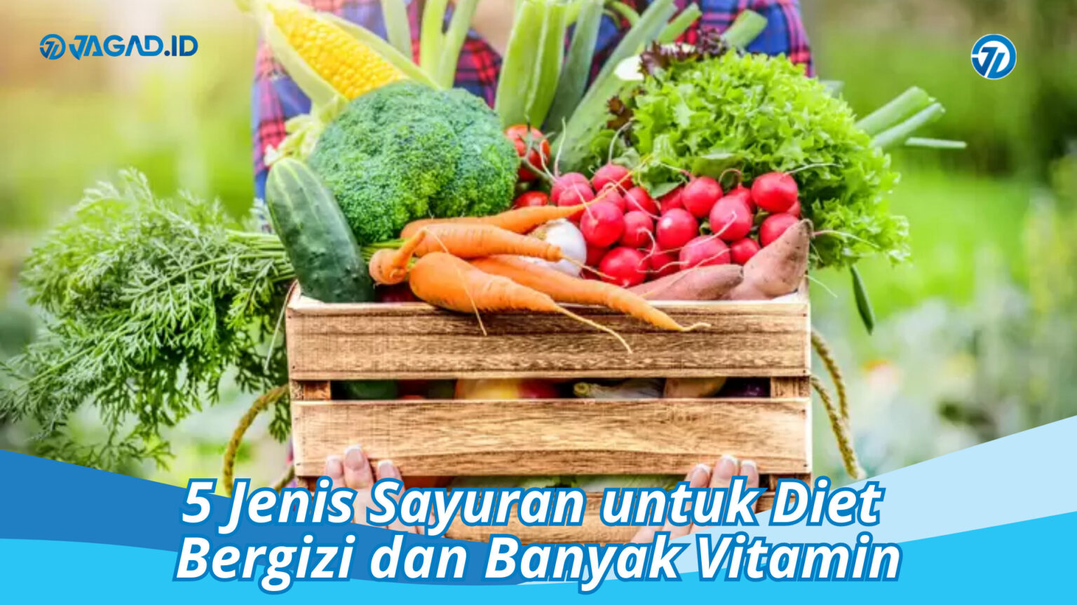 5 Jenis Sayuran Untuk Diet Yang Efektif Dan Mudah Dilakukan 9652