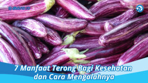 manfaat terong