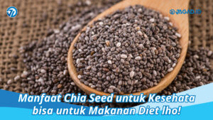 Manfaat Chia Seed