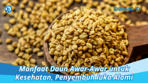 manfaat fenugreek