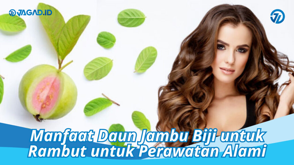 Manfaat Daun Jambu Biji Untuk Rambut Untuk Perawatan Alami Jagad Id