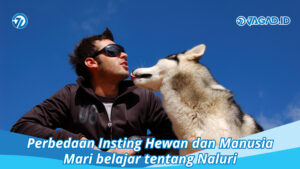 Perbedaan Insting Hewan dan Manusia