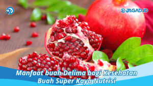 manfaat buah delima