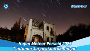 Hujan Meteor