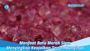 Manfaat Batu Merah Siam