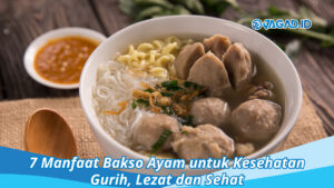 manfaat bakso ayam