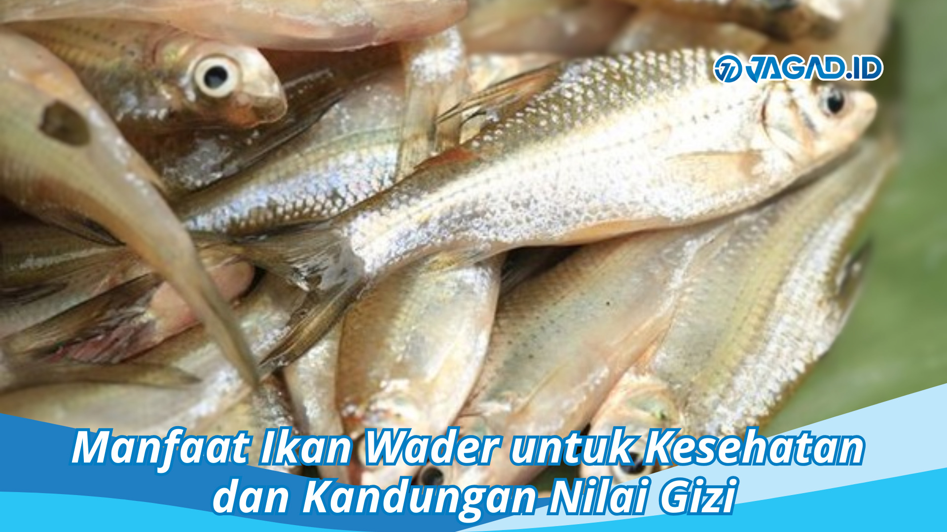 Manfaat Ikan Wader