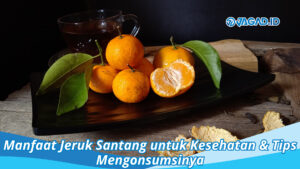 Manfaat Jeruk Santang untuk Kesehatan